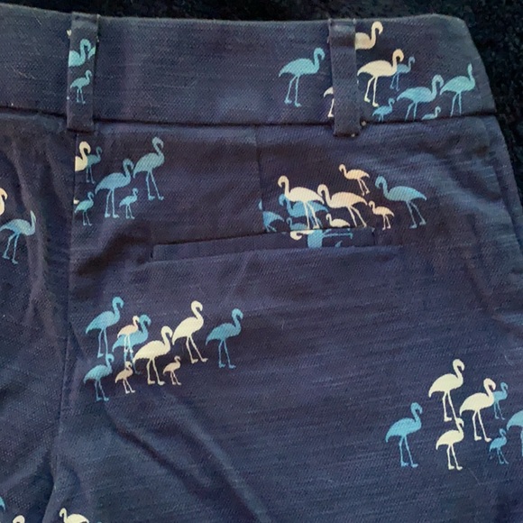 Ann Taylor loft shorts - Picture 5 of 5